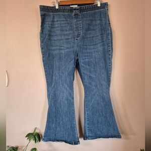 Pilcro Women's Stretch Jeans